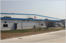 TOYODA GOSEI CHINA