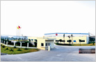 TOYODA GOSEI CHINA