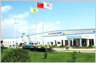 TOYODA GOSEI CHINA