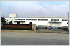 TOYODA GOSEI CHINA