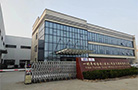 TOYODA GOSEI CHINA