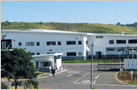 TOYODA GOSEI CHINA